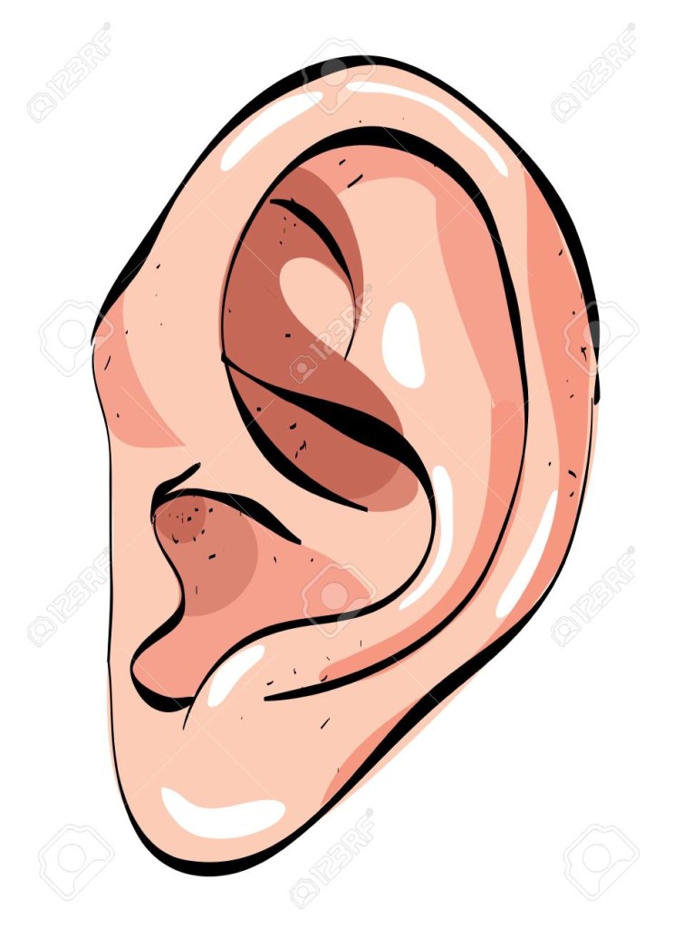 Cartoon image of human ear. An artistic freehand picture.